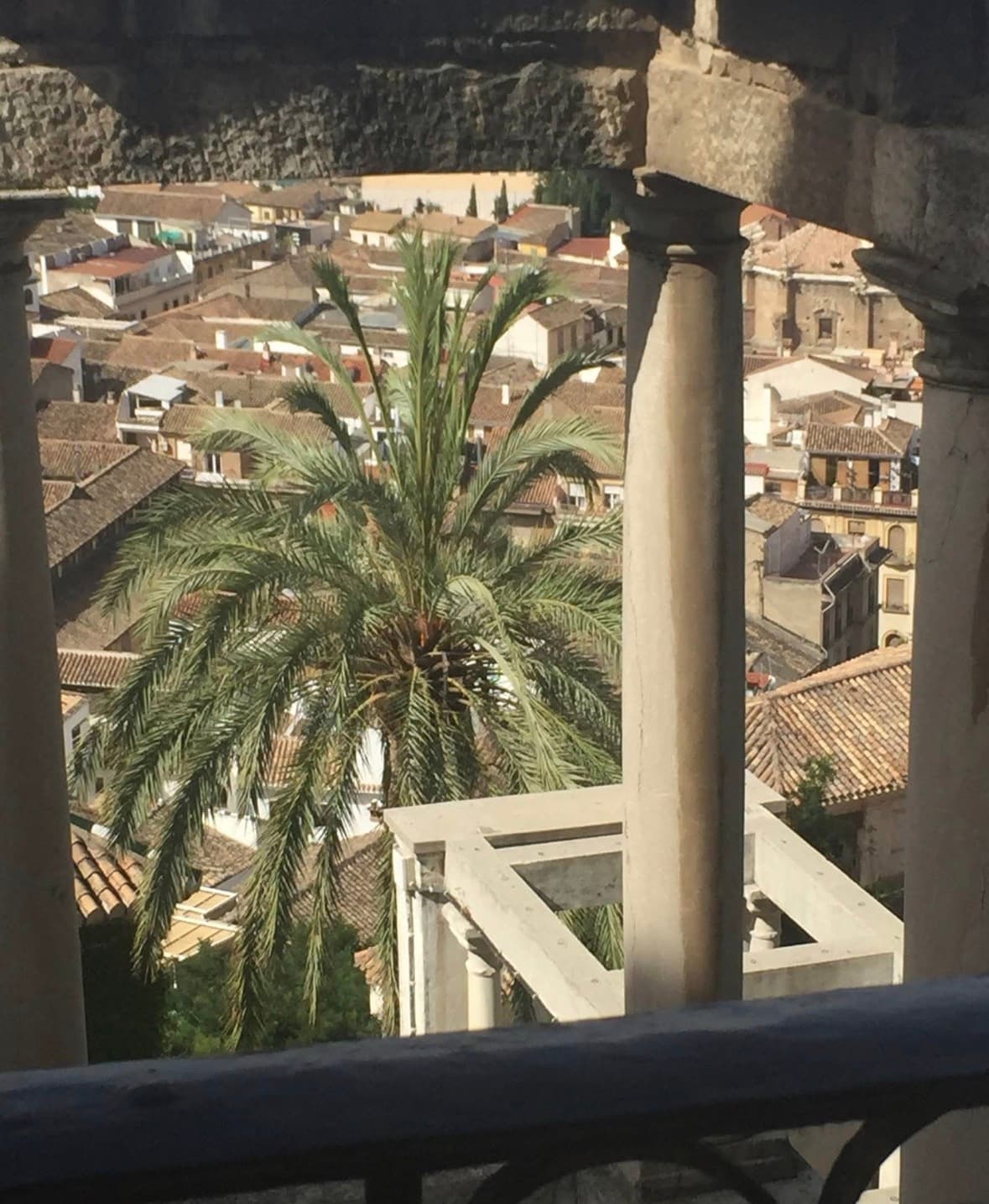 A palm tree framed by stone columns overlooking terracotta rooftops in Granada, Spain